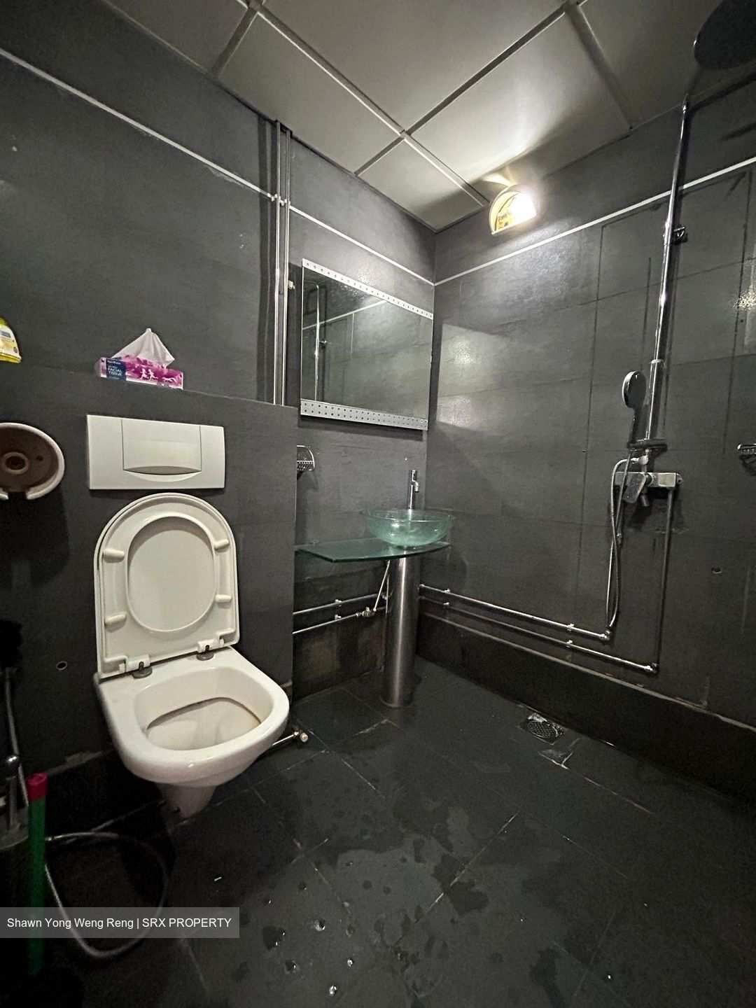 International Plaza (D2), Apartment #490551781